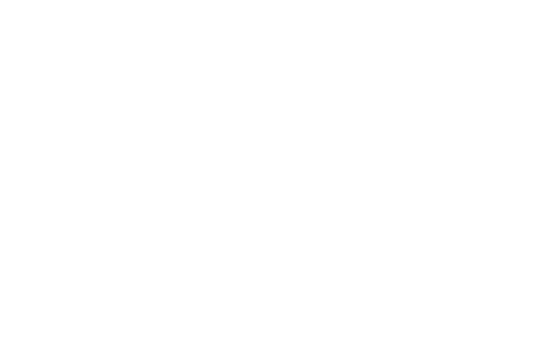 WORLD RIDE BUSINESS